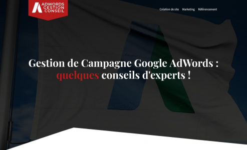 https://www.adwords-gestion-conseil.com